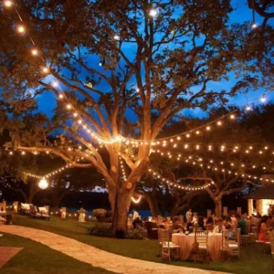 LED String Lights for Event Decor